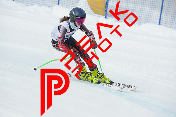 WP_01.29.23_7224