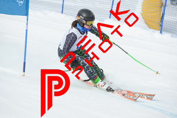 WP_01.29.23_7227