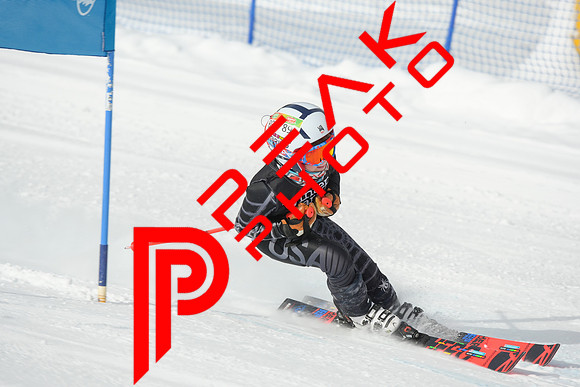 WP_01.29.23_7230