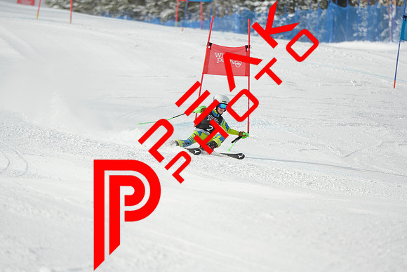 WP_01.29.23_7231