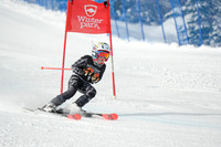 WP_01.29.23_7229