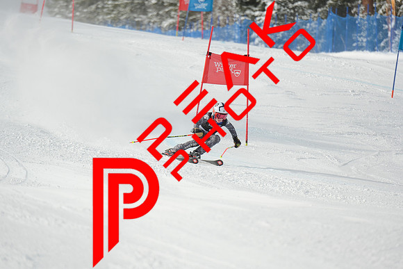 WP_01.29.23_7239