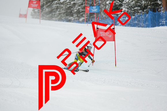WP_01.29.23_7273