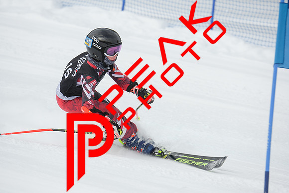 WP_01.29.23_7283