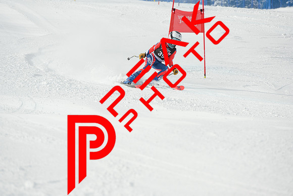 WP_01.29.23_7336