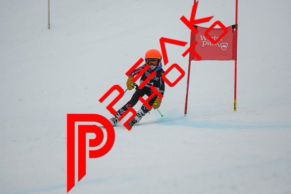 WP_01.29.23_7399