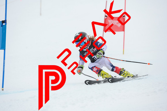 WP_01.29.23_7417