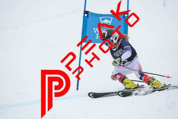 WP_01.29.23_7419