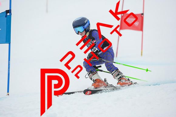 WP_01.29.23_7492