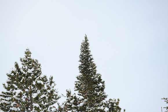 WP_03.12.23_2654
