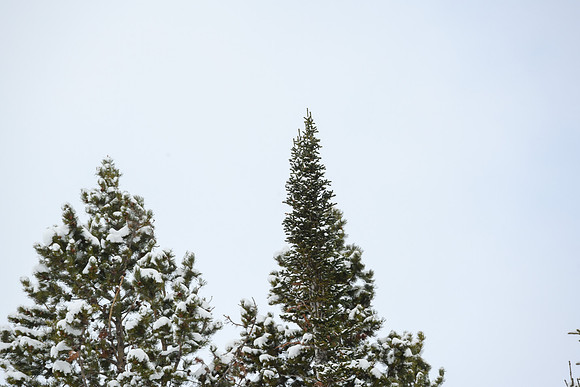 WP_03.12.23_2655