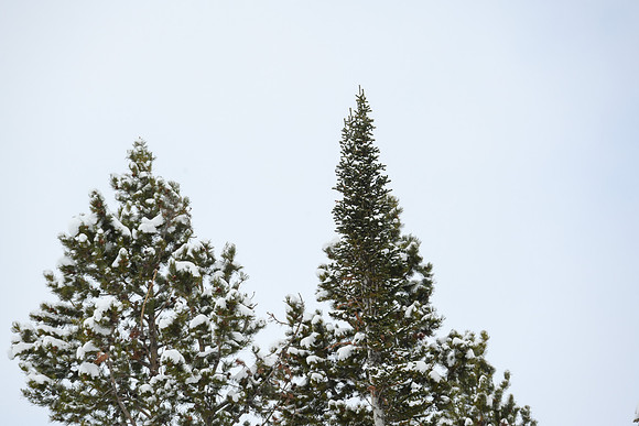 WP_03.12.23_2656