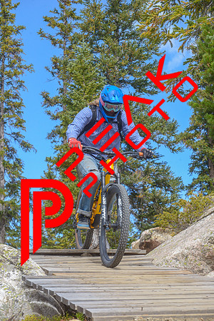 198ND600_11;37_09.21.23_5943