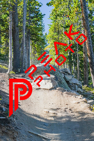 Trestle Downhill 9.5.20-10;09-2