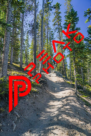 Trestle Downhill 9.5.20-09;58