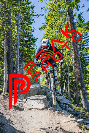 Trestle Downhill 9.5.20-10;11-2