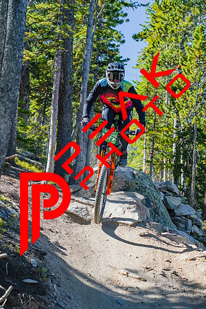 Trestle Downhill 9.5.20-10;12-2
