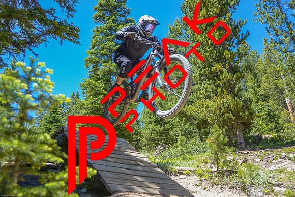 NQ_12;36_06.26.23_9082