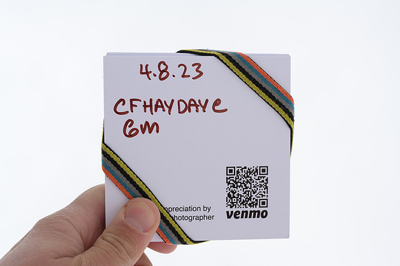 WP_04.08.23_4678