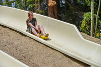 Slow Lane_14;22_07.02.2025