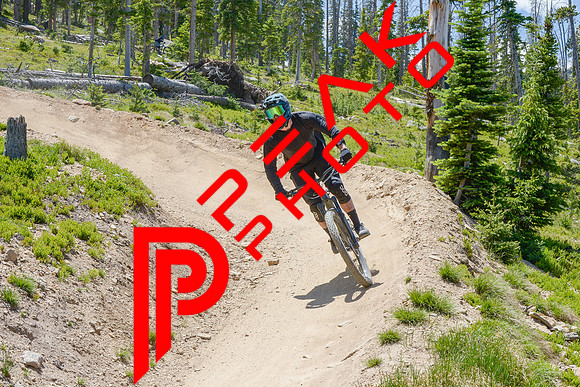 116ND600_12;06_07.09.23_9918