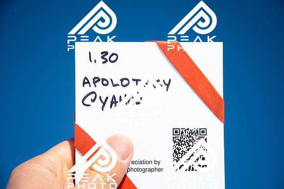 WP_01.30.22_2549