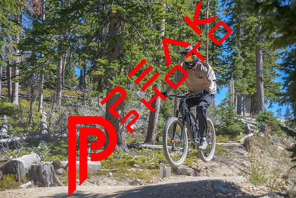 SA_09.11_14;12-4