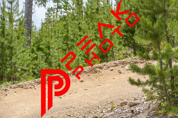 PB_12;36_07.07.23_9147