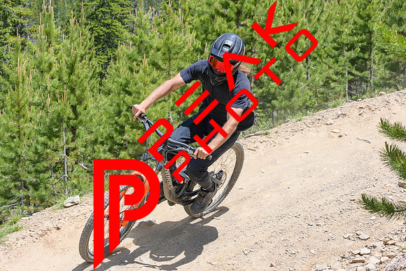 Paperboy_14;12_07.02.23_8238