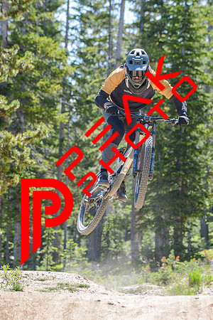 115ND600_10;40_07.08.23_8894