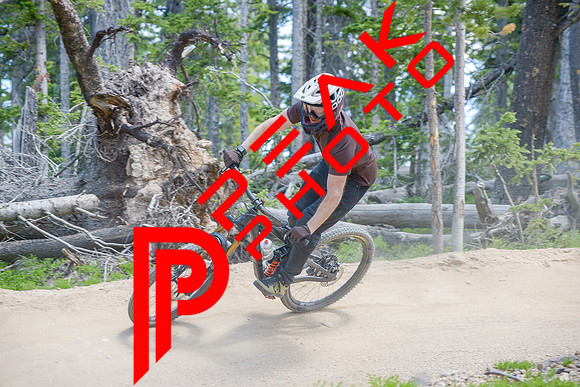 117ND600_12;33_07.09.23_0015