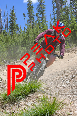 Paperboy_14;00_07.02.23_8182