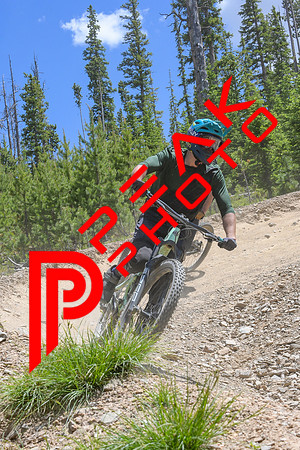 Paperboy_14;00_07.02.23_8179