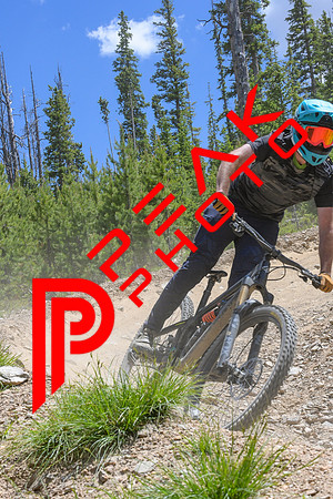 Paperboy_14;00_07.02.23_8181