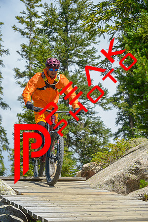 GW_11;03_08.05.23_3067