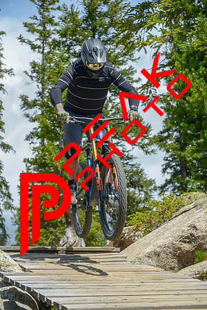 GW_11;33_08.05.23_3177