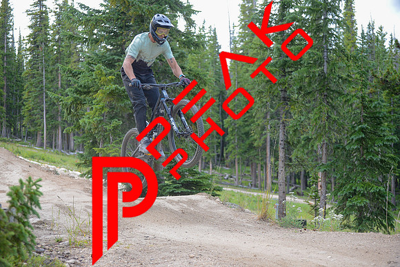 SA_11;19_08.12.23_7921