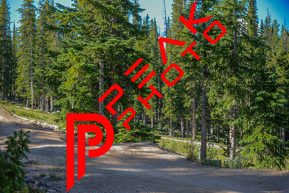 SA_09;06_08.11.23_6914