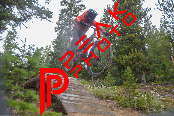 NQ_13;21_08.19.23_5785