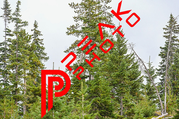 BOG_11;24_09.04.23_3600