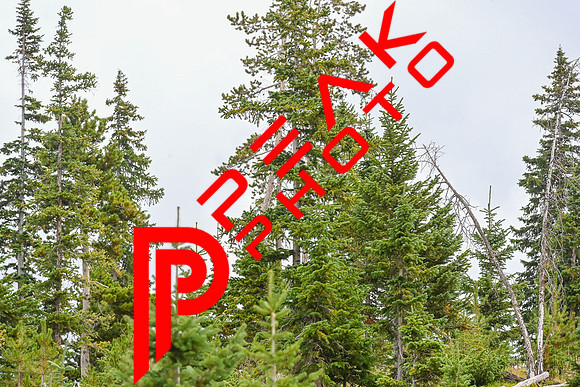 BOG_11;24_09.04.23_3601