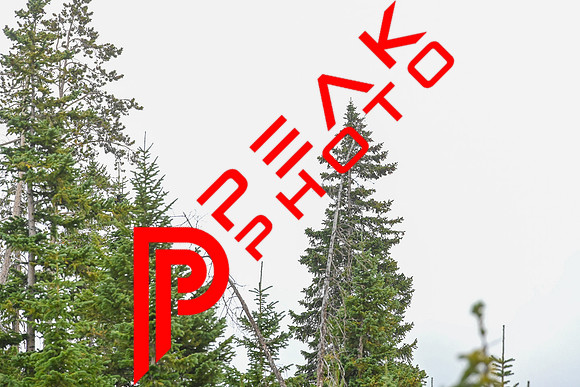 BOG_11;28_09.04.23_3616