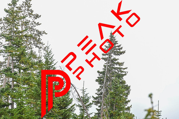 BOG_11;28_09.04.23_3617