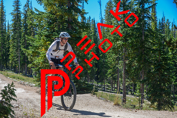 SA_11;31_09.06.23_3069