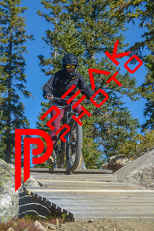 198ND600_10;15_09.23.23_6310