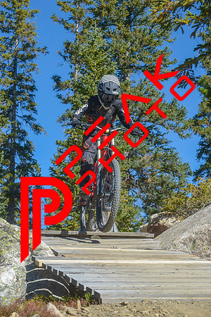 198ND600_10;17_09.23.23_6319