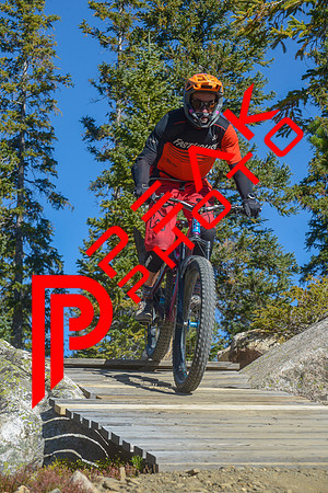 198ND600_10;26_09.23.23_6335