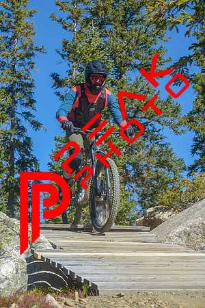 198ND600_10;27_09.23.23_6338