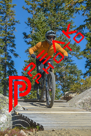 198ND600_10;27_09.23.23_6339
