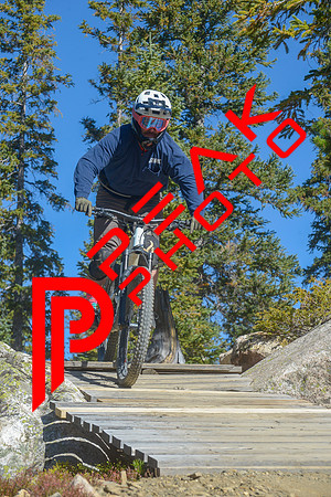 198ND600_10;27_09.23.23_6342